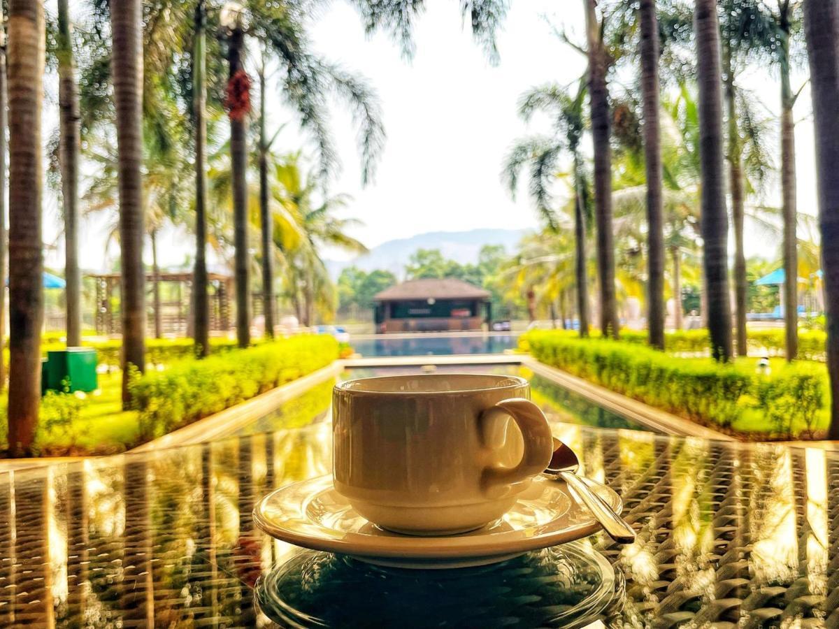 Radisson Blu Plaza Resort & Convention Centre Карджат Экстерьер фото A cup of coffee